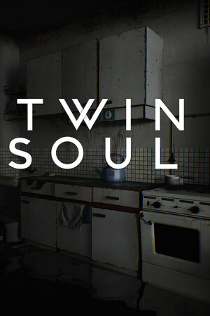 Twin Soul cover art
