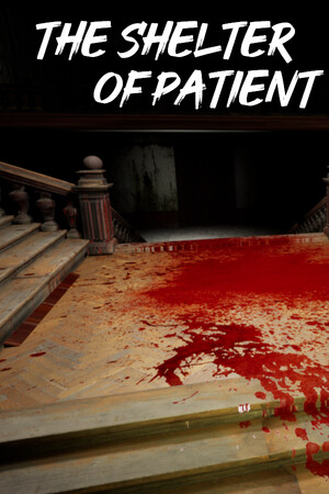 The shelter of patient cover art