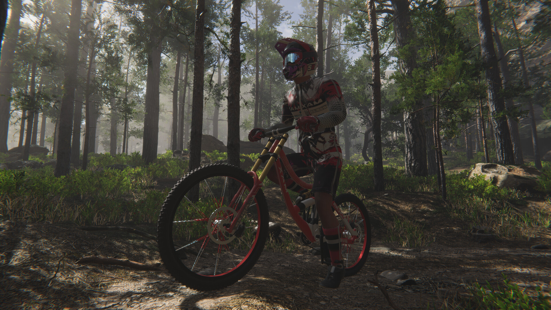 Mountain Bike  Play Mountain Bike on PrimaryGames