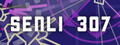 Senli 307