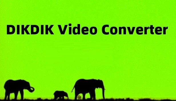 DIKDIK Video Converter Steam capsule image