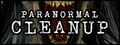Paranormal Cleanup