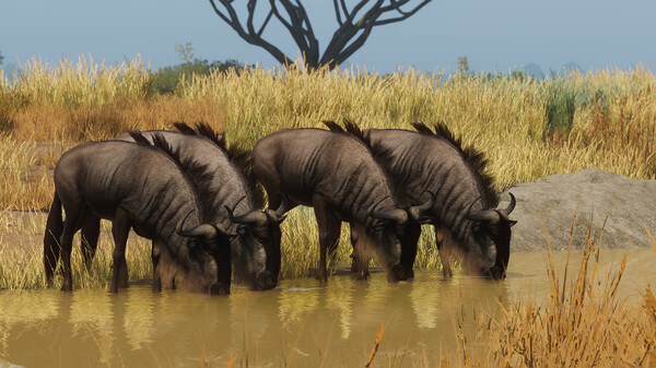 Planet Zoo Ultimate Edition 2023 Steam CD Key