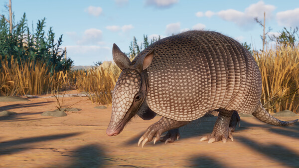 Planet Zoo Premium Edition 2023 EU Steam CD Key