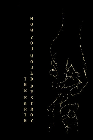 Now You Would Destroy The Earth cover art