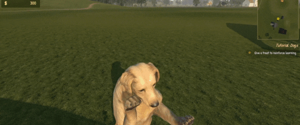 Animal_Trainer_Simulator_7.gif?t=1715954195