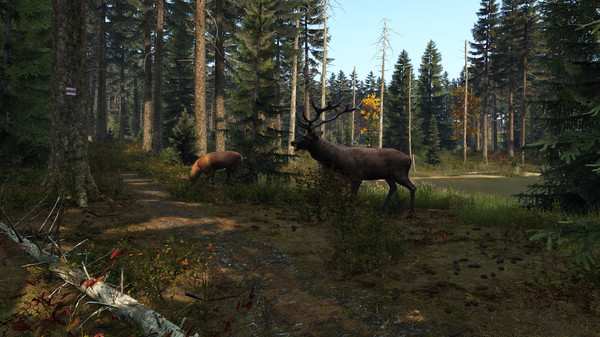 Fotos Do Slide do Jogo DayZ