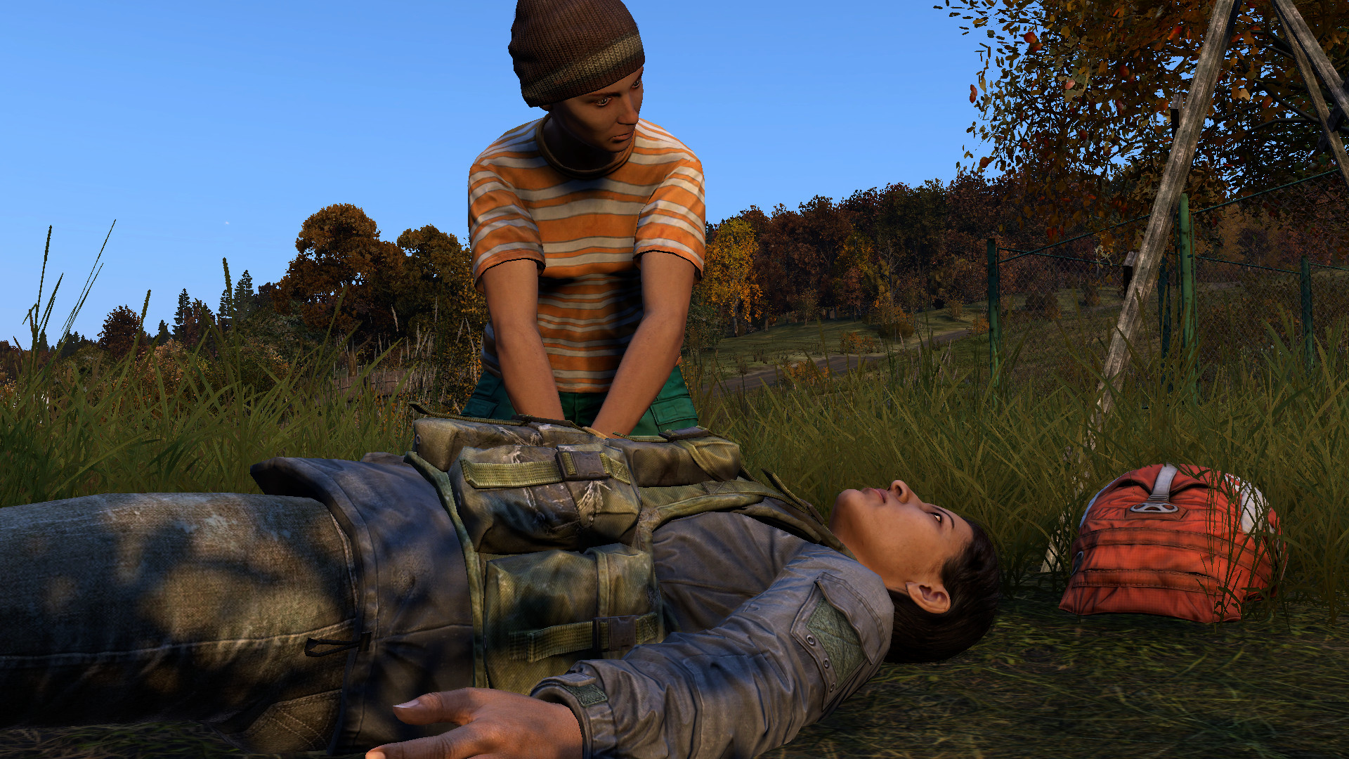 DayZ: Requisitos reales