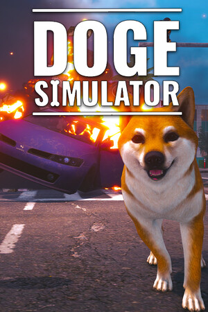 Doge Simulator cover art