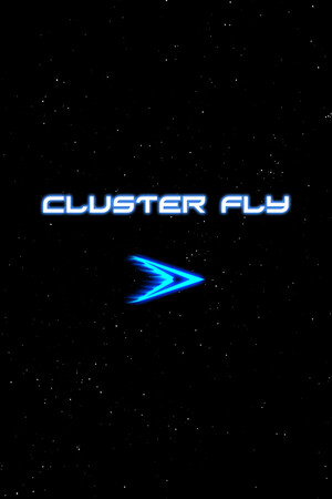 Cluster Fly Demo