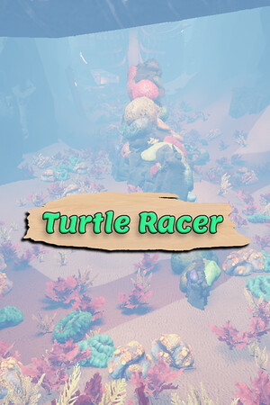 Turtle Racer cover art
