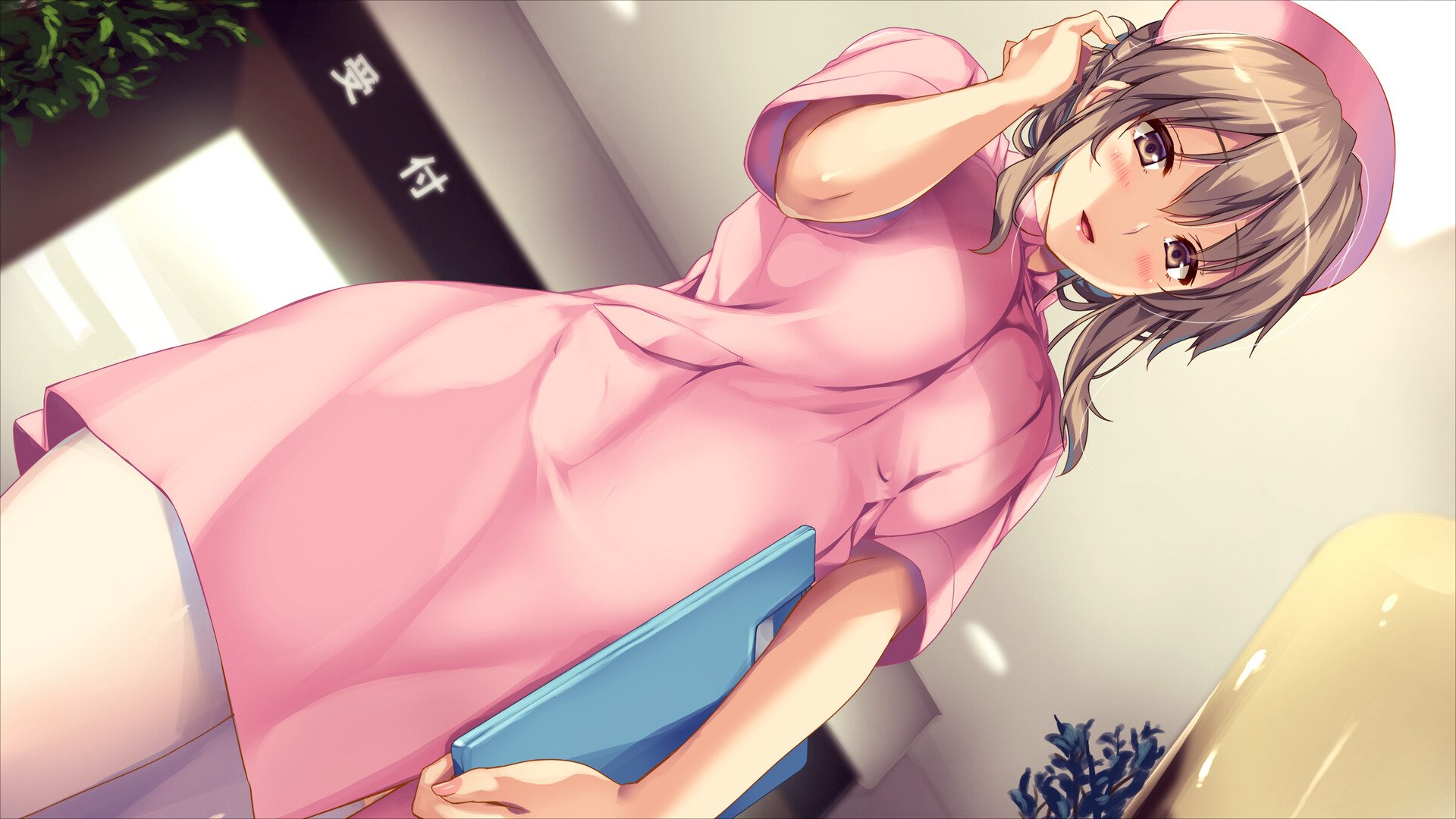 Boku to Nurse no Kenshuu Nisshi (STEAM)