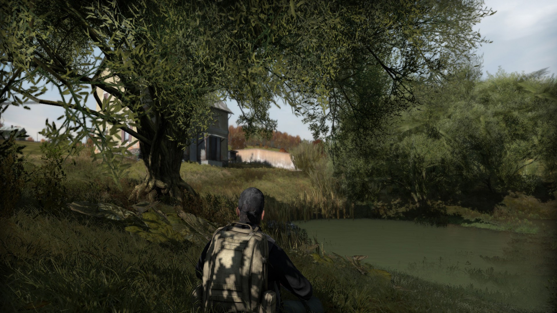 Arma 2 on Steam