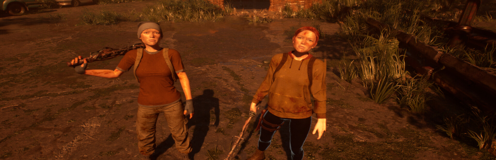 The Last Vagabonds封面