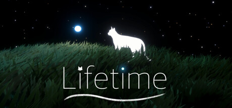 Lifetime