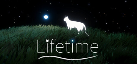 Lifetime Cover Image