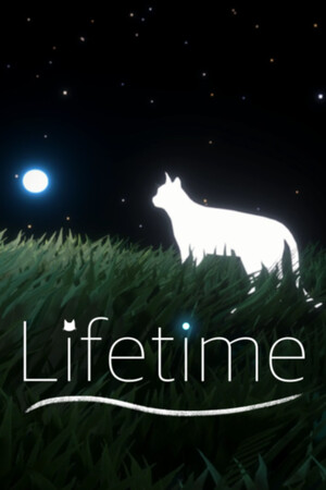 Lifetime cover art