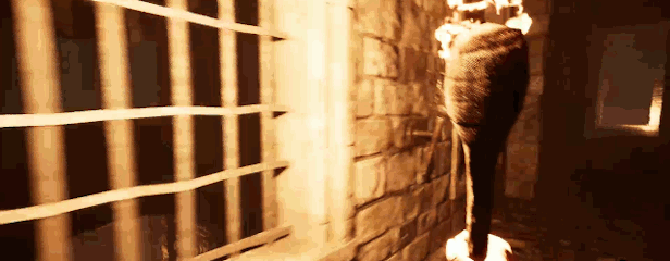 torches_crop.gif?t=1703460709