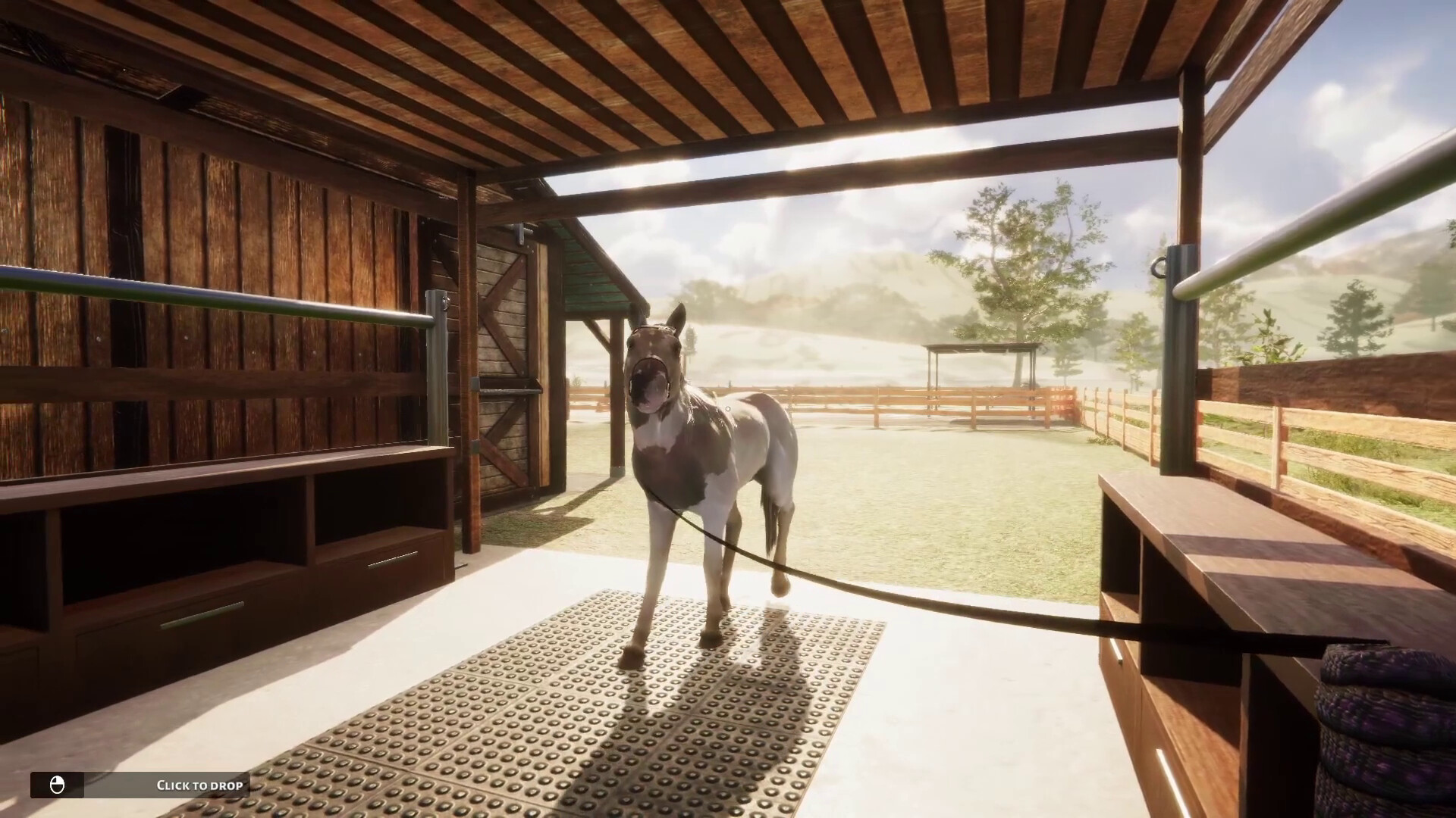 Animal Shelter Horse Shelter DLC on Steam