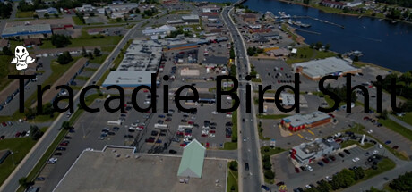 Tracadie Bird Shit Cover Image