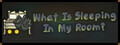 What Is Sleeping In My Room?