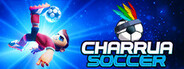 Charrua Soccer