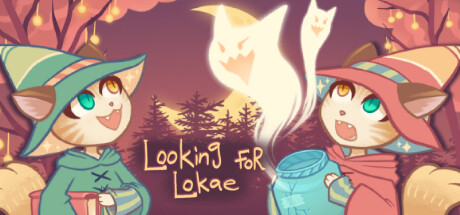 Looking for Lokae Cover Image