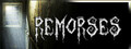 Remorses