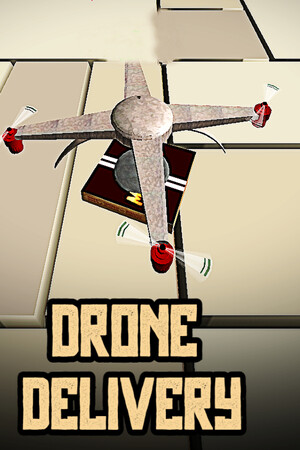Drone Delivery cover art