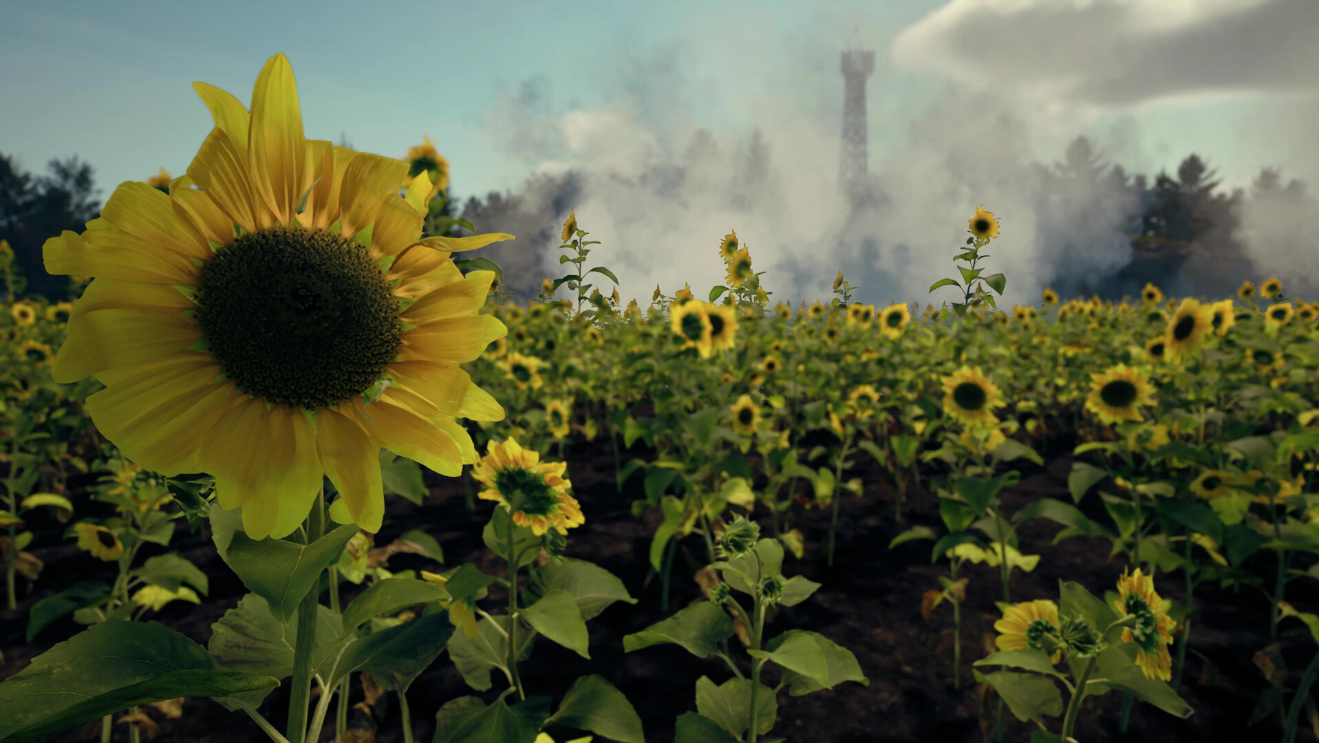 %title插图%num 来自头顶的死亡/Death From Above