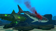 A screenshot of SHARKS