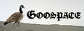 Goospace
