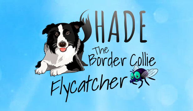 SHADE The Border Collie Flycatcher