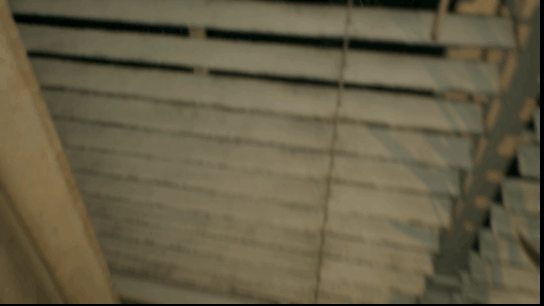 gif4.gif?t=1712009532