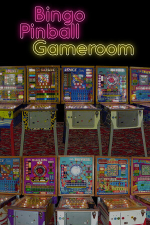 Bingo Pinball Gameroom cover art