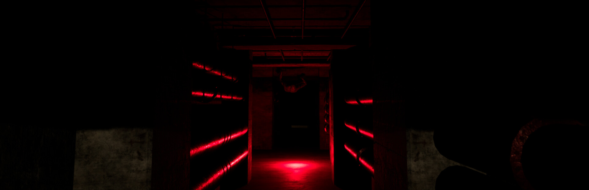 Backrooms Project: The lost file封面