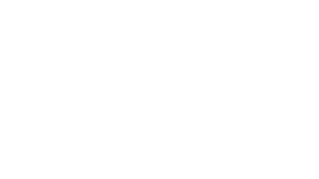 Trolley Delayma