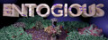Entogious