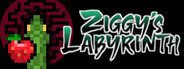 Ziggy's Labyrinth