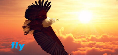 fly Cover Image