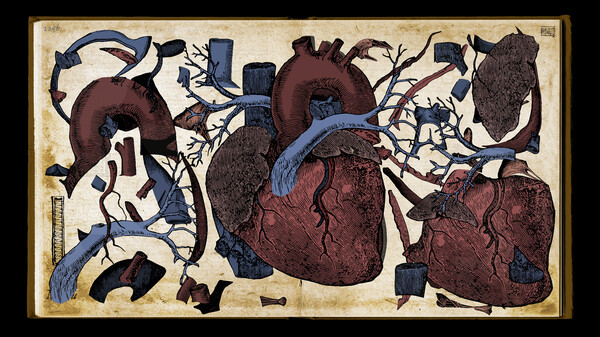 ss_10c125d64c9f2f2c09a27f6b469e0fb7199d586e.600x338.jpg