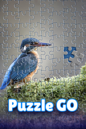 Puzzle Go cover art