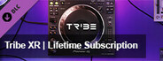 Tribe XR - Lifetime Subscription