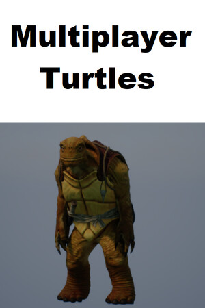 Multiplayer Turtles cover art