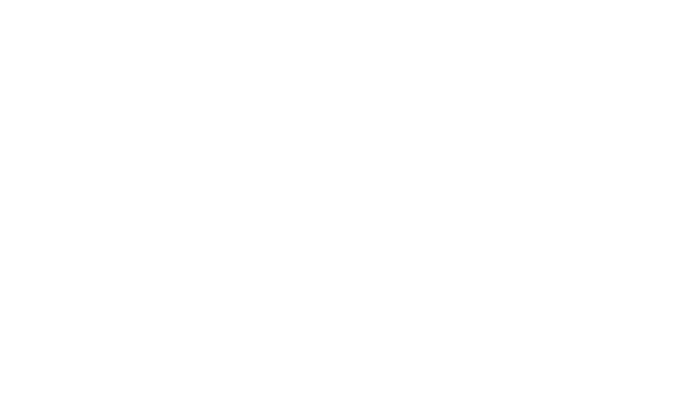 Blind Bullet