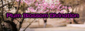 Plum Blossom Divination