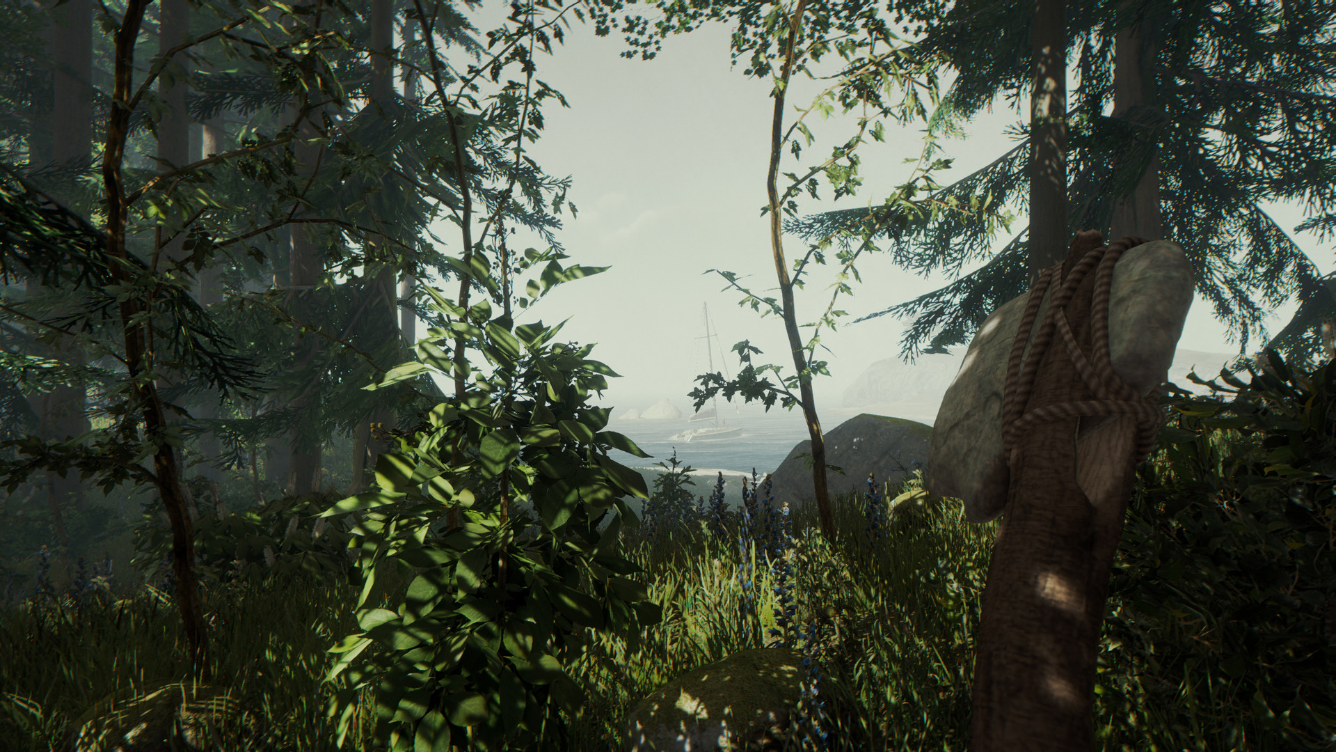 森林丨The Forest中文破解版游戏免费下载