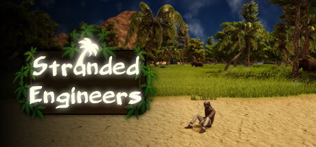 Stranded Engineers Cover Image