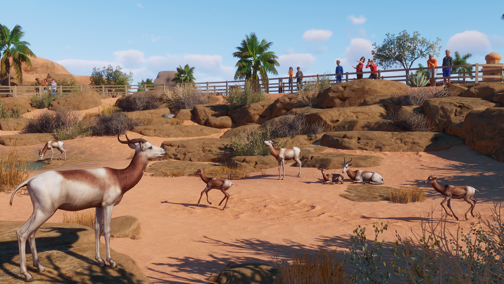 Zoo Arid Animal Pack on Steam