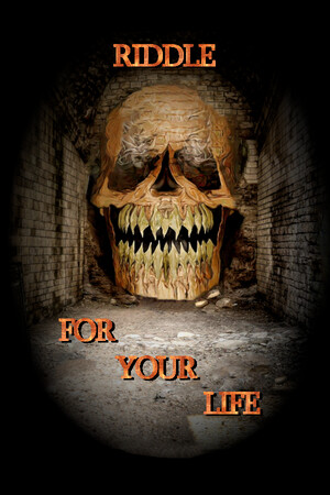 Riddle for your Life cover art